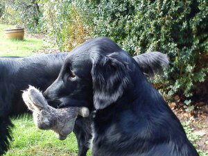 Serene Lake Serene Lake