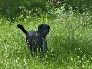 Serene Lake Serene Lake