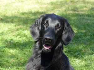 Serene Lake Serene Lake