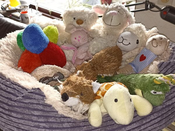 Serene Lake Serene Lake