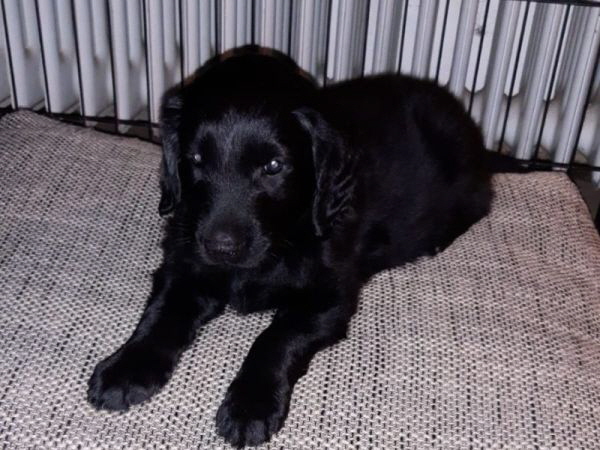 Serene Lake Serene Lake