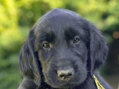 Serene Lake Serene Lake
