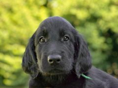Serene Lake Serene Lake