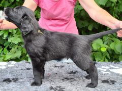 Serene Lake Serene Lake