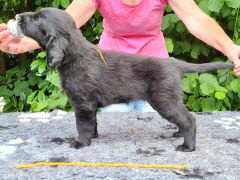 Serene Lake Serene Lake