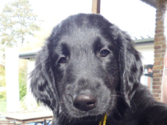 Serene Lake Serene Lake