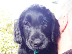 Serene Lake Serene Lake