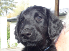 Serene Lake Serene Lake