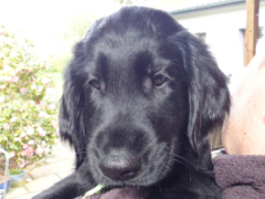 Serene Lake Serene Lake