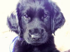 Serene Lake Serene Lake