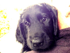 Serene Lake Serene Lake