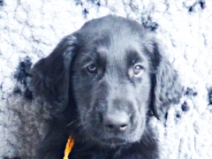 Serene Lake Serene Lake