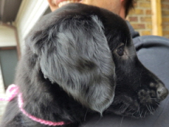 Serene Lake Serene Lake