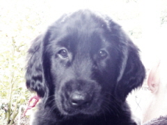 Serene Lake Serene Lake